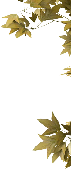开云体育官网｜开运体育官方在线入口